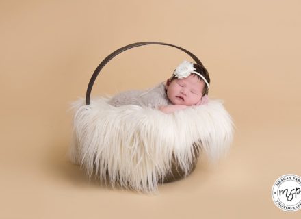Newborn Lauren