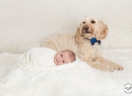 newborn baby photo with dog