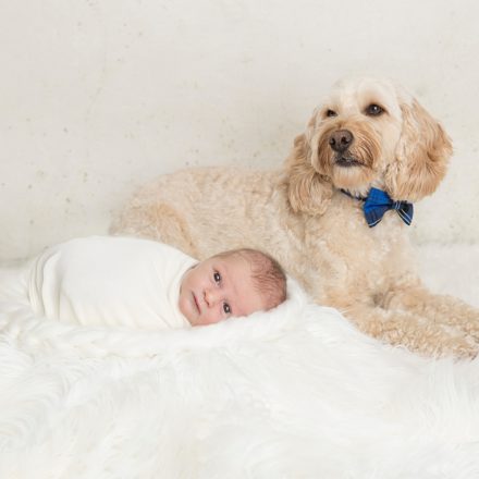 newborn baby photo with dog