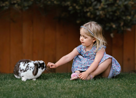 Little girl playing with her rabbit in the garden. Outdoor Portrait Photography