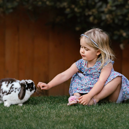 Little girl playing with her rabbit in the garden. Outdoor Portrait Photography
