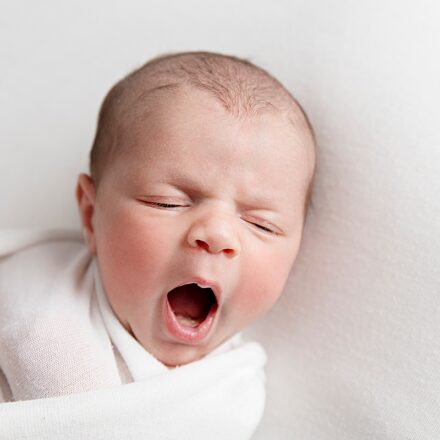 newborn baby boy on white background in white swaddle facing forwards yawning at the camera