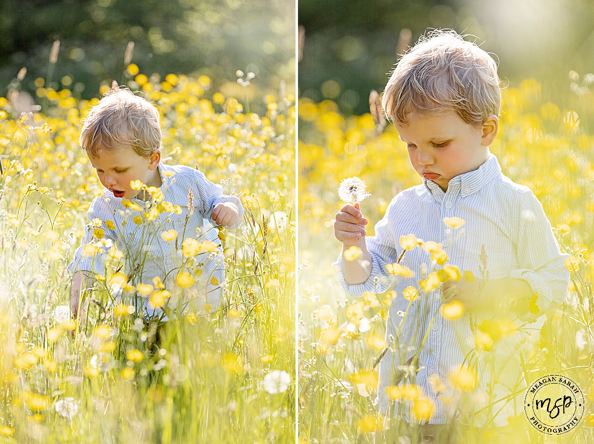 Beautiful Photography,Children Photographer,High End,High Key,Meagan Sarah Photography,Outdoor photographer,Photographer,Photography,Professional,Kirkhamgate,Wakefield,West Yorkshire,Boy,Family,Sunshine,Sunny day,Spring,Full sun,Children,Buttercup,
