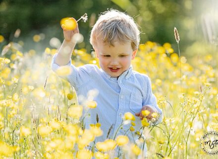 photograph of little boy Marshall playing in a field of yellow buttercup flowers in the evening sun. Kirkhamgate, Wakefield. Mini photoshoot sessions outdoors.