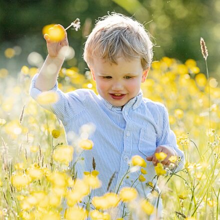 photograph of little boy Marshall playing in a field of yellow buttercup flowers in the evening sun. Kirkhamgate, Wakefield. Mini photoshoot sessions outdoors.