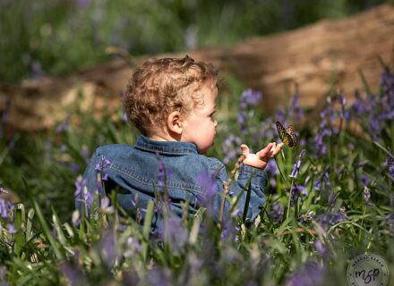 little boy toddler sat in a field of bluebells with his back to the camera holding his right hand up to let an orange butterfly land on his hand