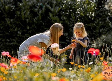 mother and daughter in a field of flowers on a sunny day the little girl handing mother a flower