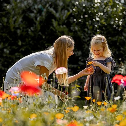 mother and daughter in a field of flowers on a sunny day the little girl handing mother a flower